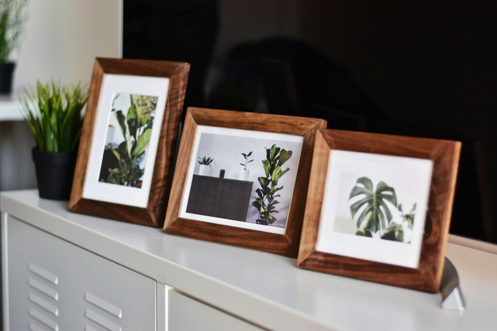 3 Lindos porta retrato com imagens de plantas.