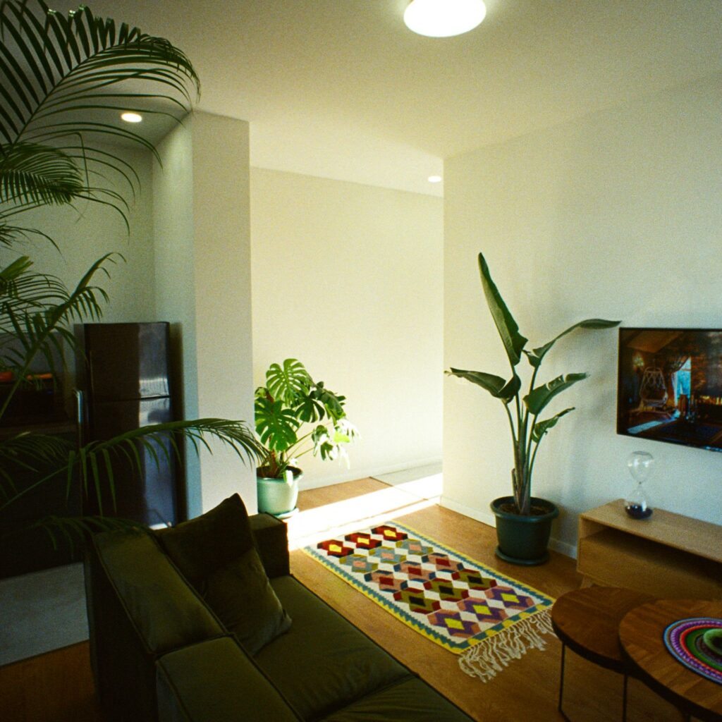 Sala pequena decorada com algumas plantas e um lindo tapete colorido na entrada. O tapete tem formas em losango.